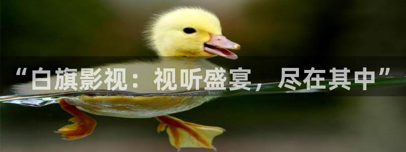 精东影业传媒最新网页地址